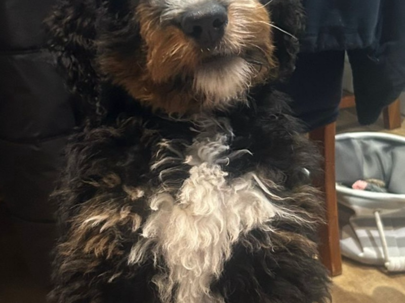 Walter